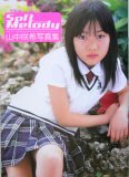 Soft Melody���������̿���