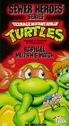 Teenage Mutant Ninja Turtles: Raphael Meets His Match