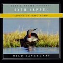Loons of Echo Pond