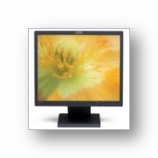 L171 LCD Monitor, Viewable Image Size:  17.0 In (432 Mm), Native Resolution Of 1