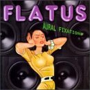 Aural Fixations