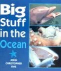 Big Stuff in the Ocean