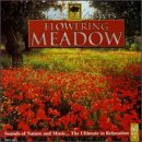 Nature Whispers: Flowering Meadow