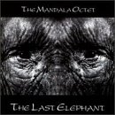 The Last Elephant