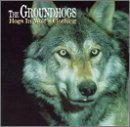 Hogs in Wolf's Clothing