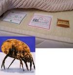Dust Mite Proof Mattress Pad