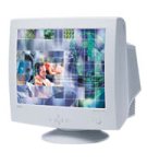 NEC AccuSync AS900 19" CRT Monitor (White)