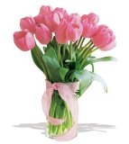 Pink Tulips - Mother