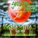 Eulogy for a Dying Fetus