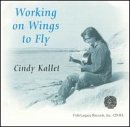 Working on Wings to Fly