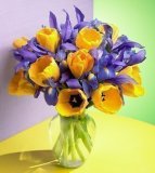 Iris and Yellow Tulip Bouquet