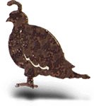 Quail Southwest Metal Magnet