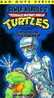 Teenage Mutant Ninja Turtles - The Bad Guys Series: Turtles Vs. the Turtle Terminator