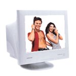 Samsung SyncMaster 955 DF - Display - CRT - 19" - 1600 x 1200 / 68 Hz - 0.2 mm - VGA (HD-15) - black, silver