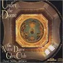 Under the Dome