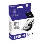 Epson T048120 Black Ink Cartridge (Stylus Photo R300, R300M, and RX500 Printers)