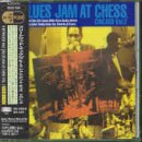 Blues Jam in Chicago V.2