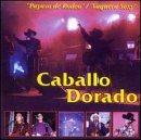 Payaso de Rodeo
