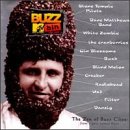 MTV Buzz Bin, Volume 1: The Zen of Buzz Clips