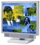 NEC 1760VM LCD Monitor