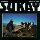 Huaryrasan: Music of the Andes