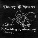 Silver Wedding Anniversary