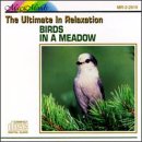 Ultimate in Relaxation: Birds in a Meadow