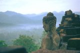 Buddha's Meditation Garden: Music for Relaxation & Meditation