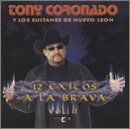 12 Exitos a La Brava, Vol. 2