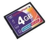 Dane Elec 4 GB Compact Flash Card