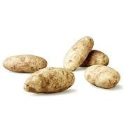 Organic Russet Potato