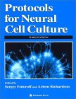 Protocols for Neural Cell Culture