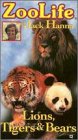 cover of ZooLife with Jack Hanna: Lions, Tigers & Bears