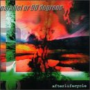 After Life Cycle