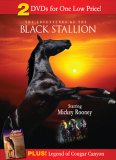 The Adventures of the Black Stallion / Legend of Cougar Canyon (The Secret of Navajo Cave)