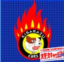 木更津キャッツアイ -日本シリーズ- オリジナルサウンドト…