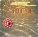 Stephen Dembski's Sonotropism