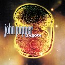 Zygote