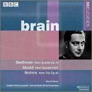 Brain