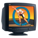 Viewsonic 19IN /18V CRT 21MM 1600X1200 ( Q95B-4 )