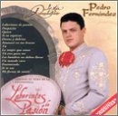 Lo Mas Romantico de Pedro Fernandez