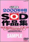 2000ǯ���(5��8��)����