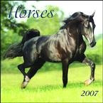 Horses 2007 Mini Wall Calendar