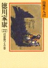 徳川家康〈22 百雷落つるの巻〉