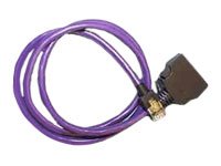 MP3 Player: Microtest Adapterkabel Adapterkabel 36Pin to Mod8