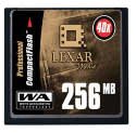 BigPrint - 256 MB HSN High Speed 40X CompactFlash Memory Card