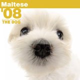 THE DOG�}���`�[�Y 2008�N�J�����_�[