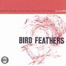 Bird Feathers