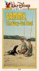 Sammy the Way Out Seal