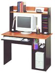 O'Sullivan Student Desk with Hutch (11021)